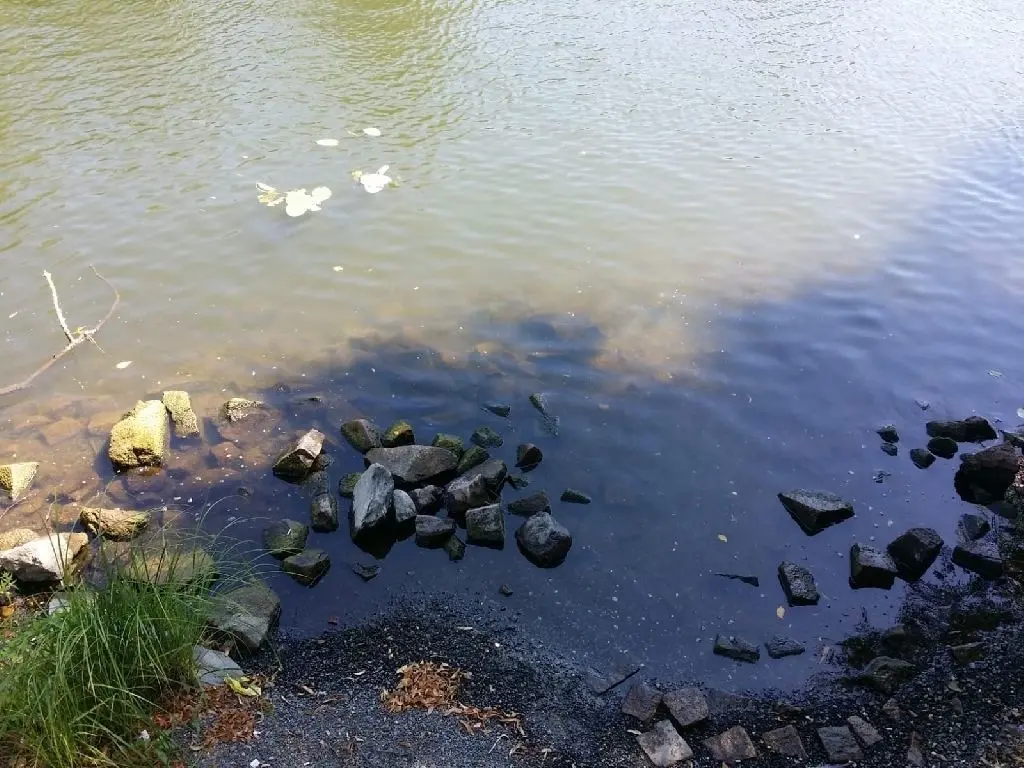 Die Havel führt noch immer deutlich weniger Wasser als normal.