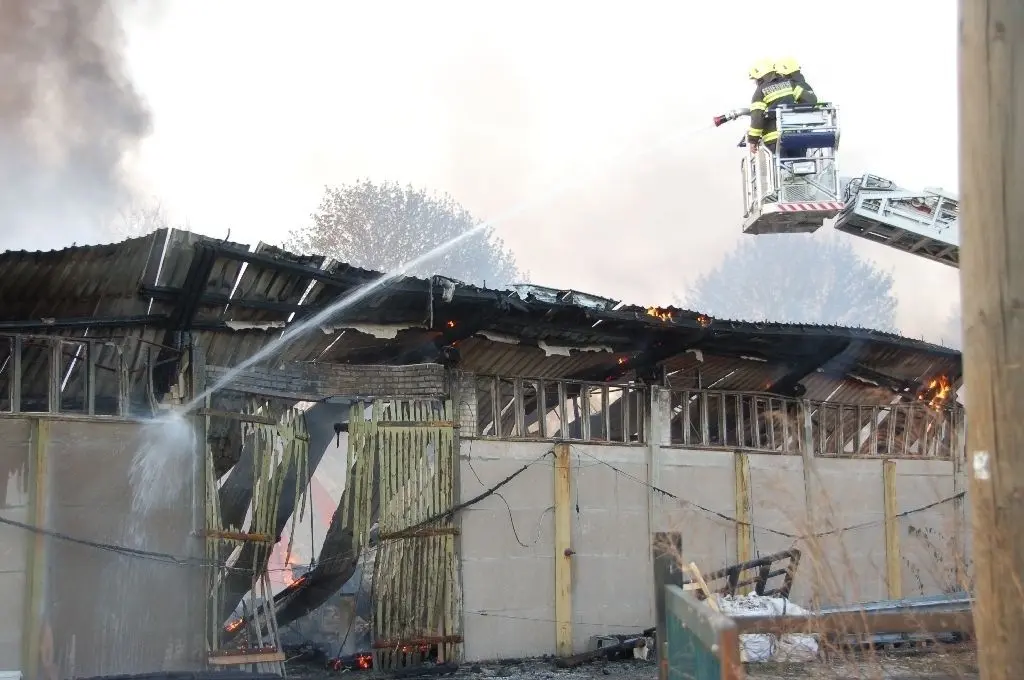 Löscheinsatz von oben: Die Bad Freienwalder Feuerwehr richtete den Wasserstrahl von der Drehleiter auf die Flammen.