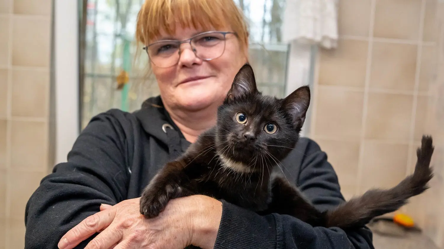 Troll wurde der etwa zwölf Wochen alte Kater von Monika Bienst aus dem Schwedter Tierheim getauft.