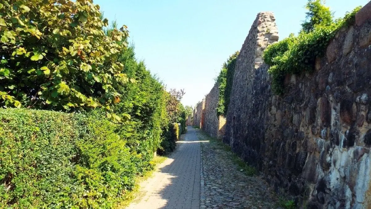 Die Granseer Stadtmauer
Stadtmauer Gransee