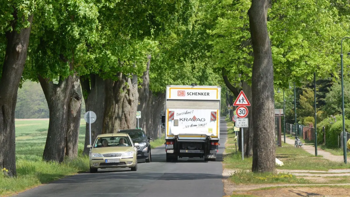 Schöne Allee: Immerhin schönste Allee in Brandenburg, aber stark sanierungsbedürftig. Die Danewitzer Straße in Rüdnitz.
Allee-Daniwitzer Straße in Rüdnitz. am 08.05.2019