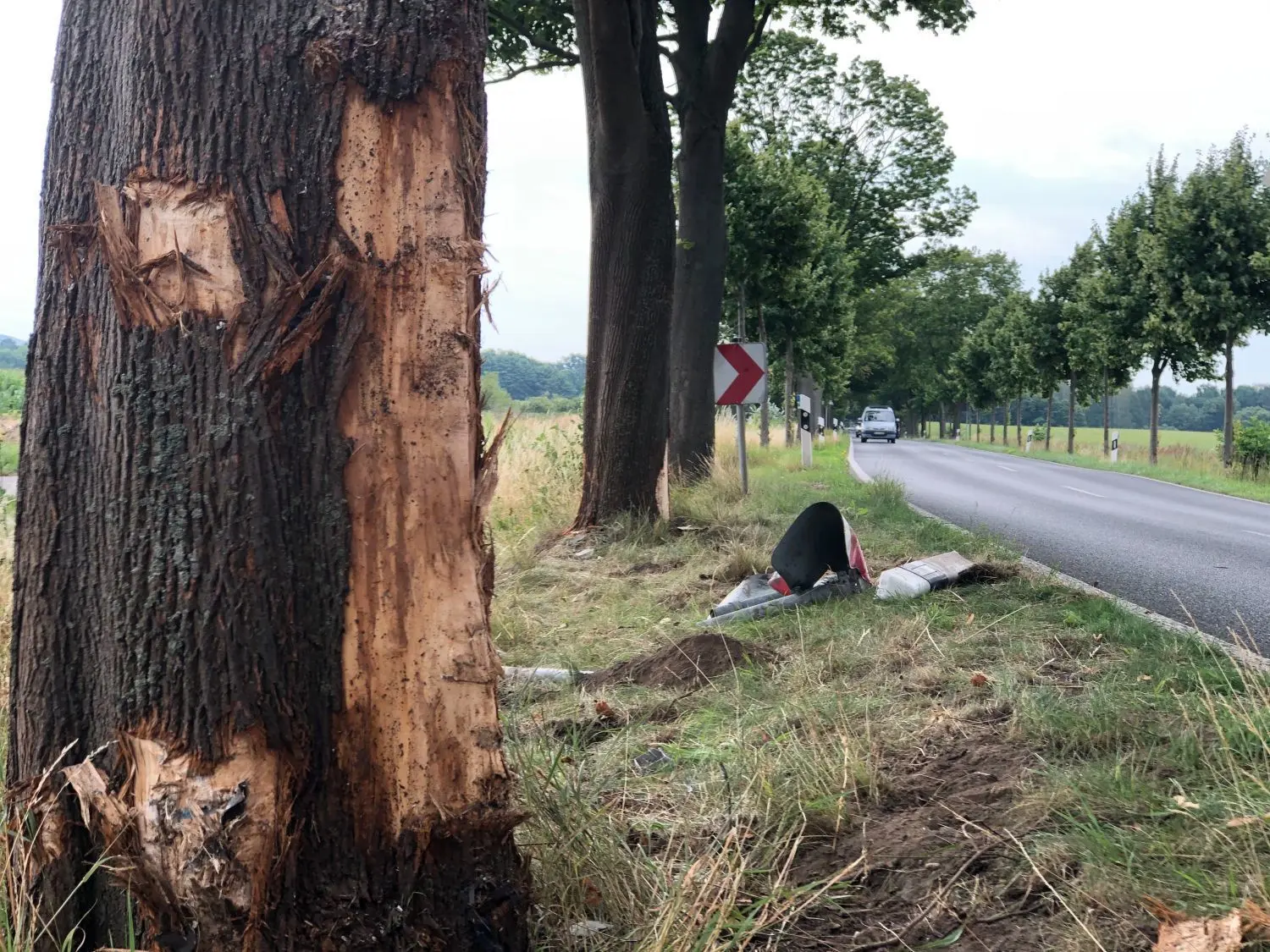 Im Juli 2020 fuhr auf der B96a eine 53-jährige Frau in suizidaler Absicht gegen einen Baum. Sie starb vor Ort.