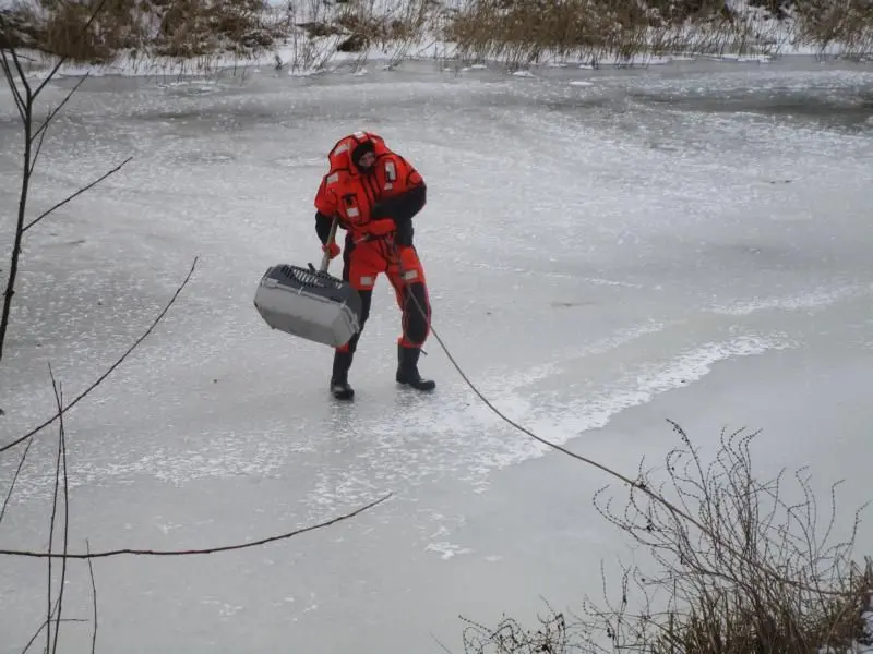 Sichere Rettung: Der Kormoran vom Finowkanal ist von der Berufsfeuerwehr Eberswalde gerettet worden.