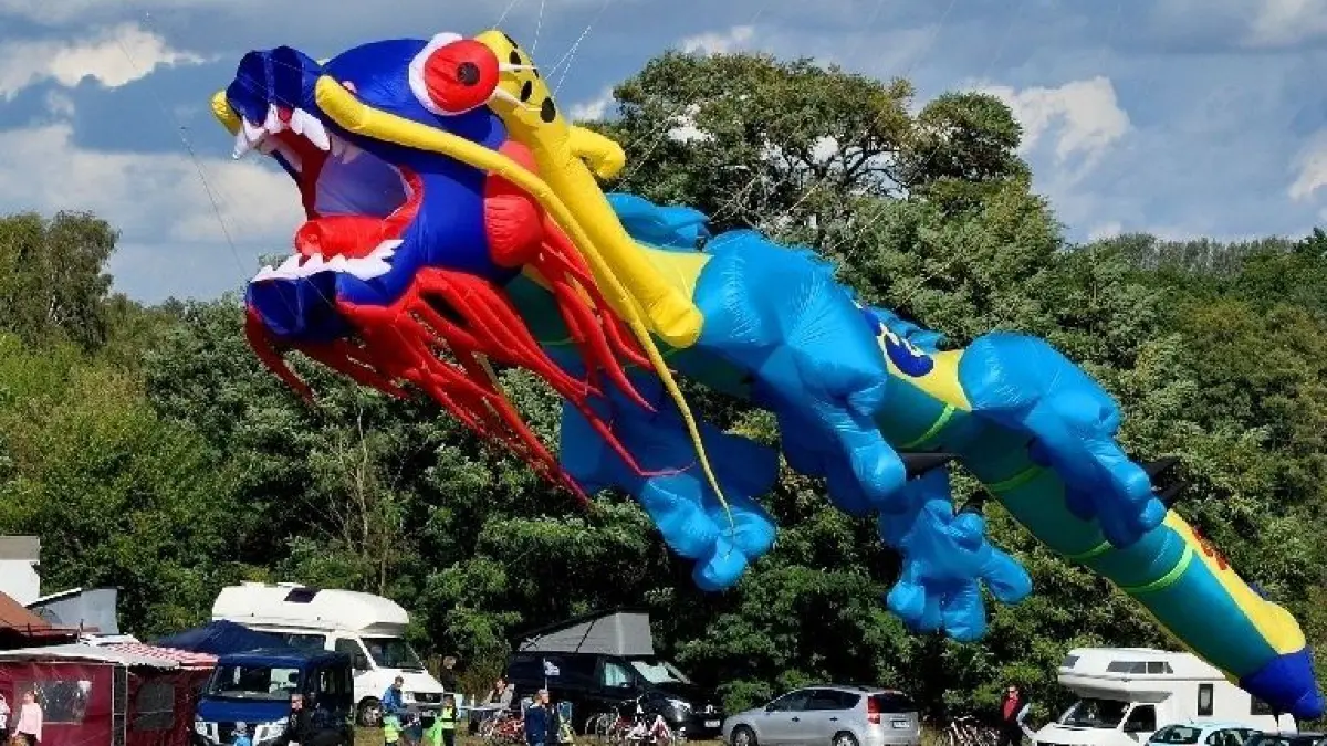 Drachen in allen Größen und Formen gab es am Wochenende auf dem Feld zwischen Frankfurt und Lebus zu bestaunen. Bis am Sonnabendnachmittag die Regenschauer einsetzten, war die 23. Auflage des Drachenfestes gut besucht.
23. Frankfurter Drachenfest: Bei herrlichem Wetter trafen sich am Wochenende hunderte Drachenfreunde an den Oderhängen zwischen Frankfurt und Lebus. Dabei konnte man Drachen in allen Größen und Formen bewundern. Drachen im wahrsten Sinne des Wortes bis hin zu den traditionellen Fluggefährten. Es konnte gebastelt werden, für das leibliche Wohl war gesorgt und natürlich waren auch Drachen im Angebot.