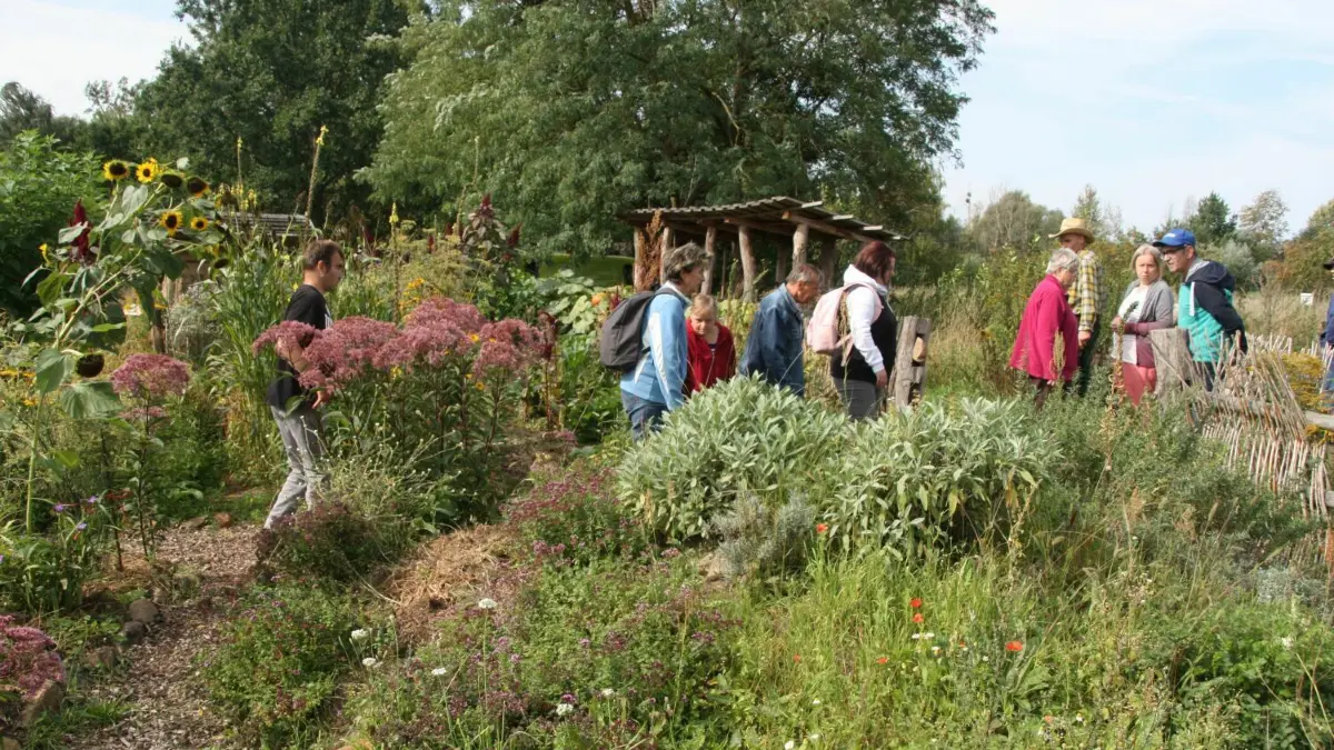 Naturnaher Garten: Im Freigelände des Nabu-Naturschutzzentrums Blumberger Mühle bei Angermünde gibt es einen traditionellen Bauerngarten. Er steht Besuchern als Schaugarten offen.
Naturnaher Garten: Gärtner Falk Antony gestaltet im Freigelände des Nabu-Naturschutzzentrums Blumberger Mühle bei Angermünde einen traditionellen Bauerngarten. Er steht Besuchern als Schaugarten offen.