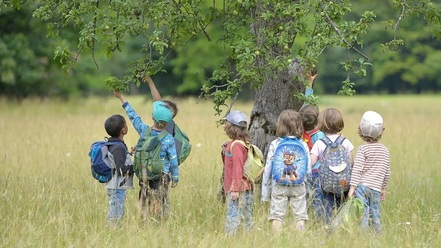 Kita-Kinder bei einem Ausflug. Ein Kindergarten ist ein wichtiger Lernort. Die hohen Kosten sind aber für viele Eltern in Brandenburg ein Problem. (Symbolbild)