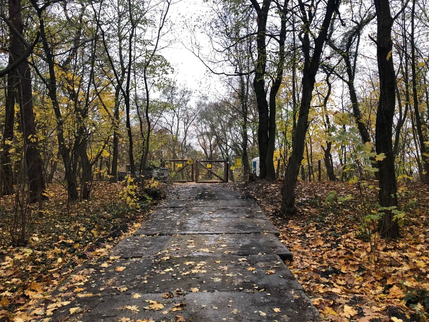 Um die Baustellenzufahrt auch zum Transport von schwerem Gerät zu befestigen, wurden Betonplatten auf den sandigen Waldwegen auf der sogenannten Kleisthöhe hinter dem Stadion in Słubice verlegt.