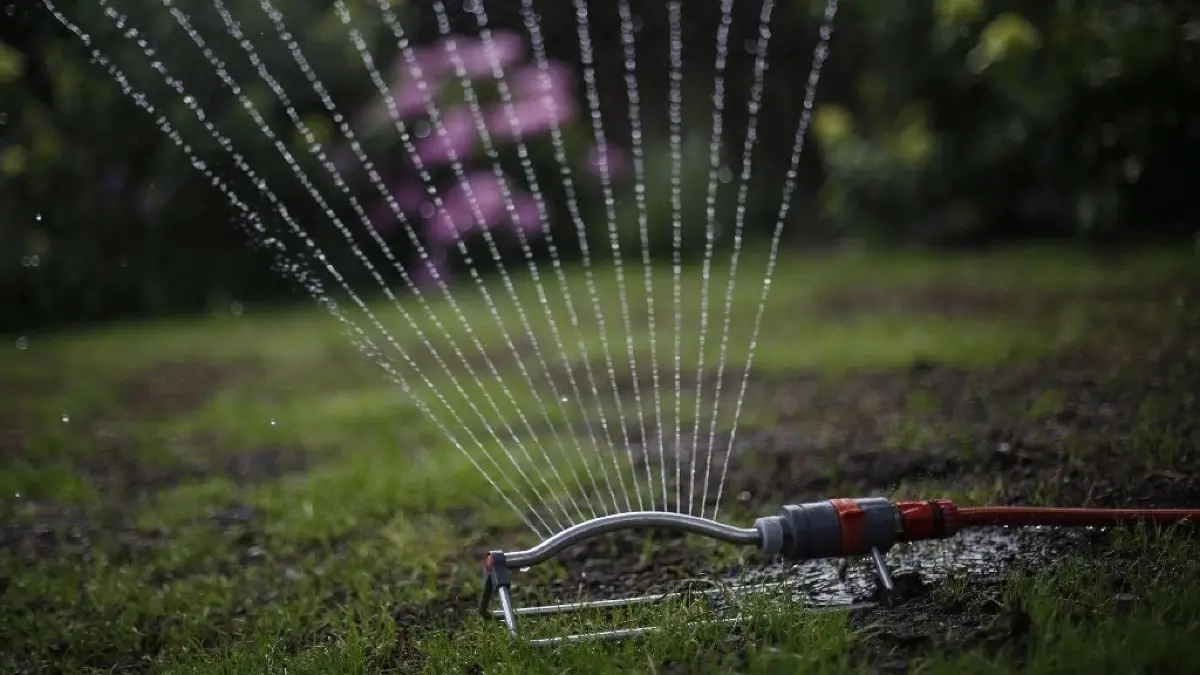 Könnte bald verboten werden: Das Sprengen von Gärten mit Trinkwasser. Foto: Ina Fassbender/dpa
ARCHIV - Auch das gehört zum Wassersparen: Für die Bewässerung des Gartens sollte so weit wie möglich Regenwasser genutzt werden. Foto: Ina Fassbender/dpa-mag - Honorarfrei nur für Bezieher des Dienstes dpa-Magazin +++ dpa-Magazin +++