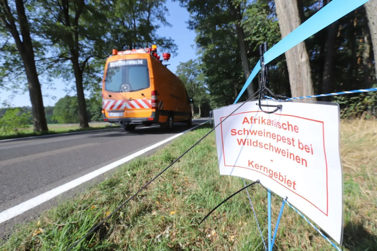 Kernzone: Ein Wildschutzzaun an der L45 zwischen Göhlen und Bomsdorf weist auf die Schweinepest hin.