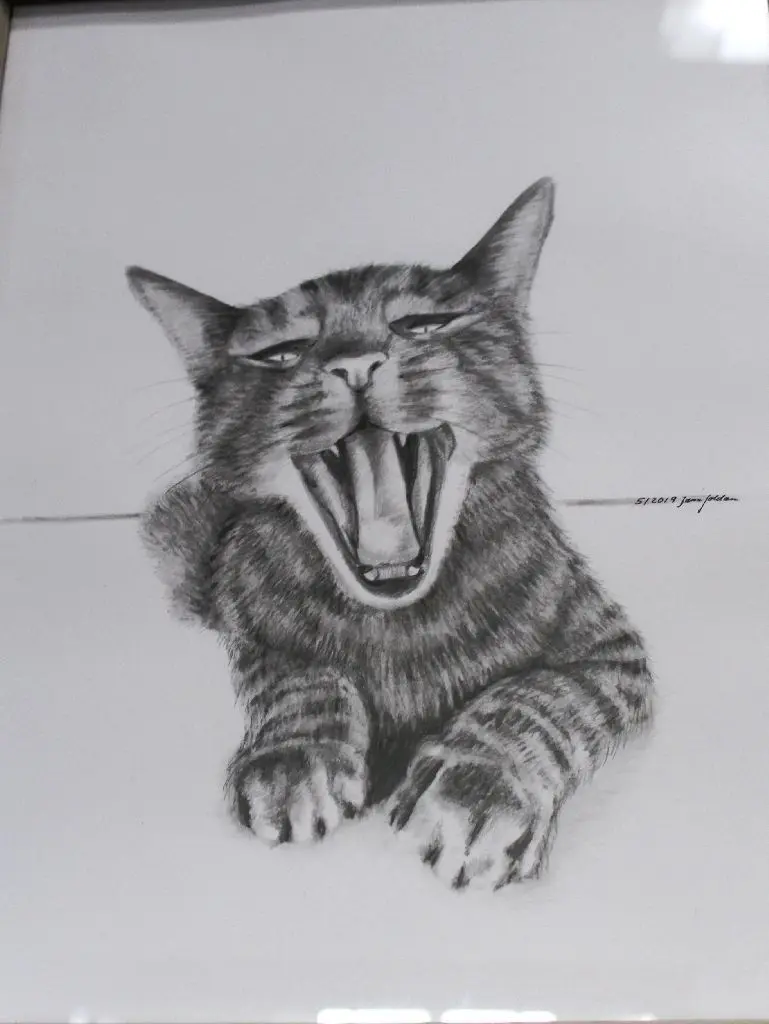 Bleistift- und Kohlezeichnungen zeigt Jana Goldau in ihrer ersten Ausstellung.