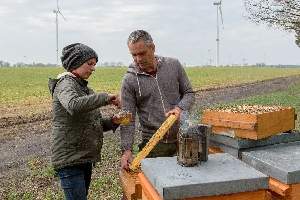 Probenentnahme fürs Labor: Die Börnicker Berufsimker Camille Hoornaert und Sebastian Seusing beliefern Supermärke, Bioläden und ein Reformhaus in Berlin. Nach einem Verdacht ließen sie ihren Honig prüfen. Gefunden wurde Glyphosat im Übermaß.