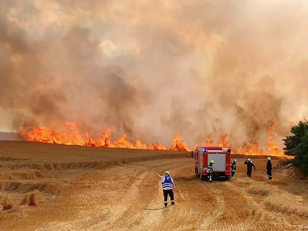 Auch beim großen Feldbrand im Sommer 2019 in Frauenhagen war die Welsower Feuerwehr im Einsatz.