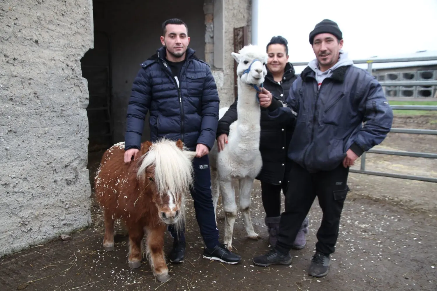 In Dolgelin auf Zeit: Mini-Pony Moritz, gehalten von Marcello (19) sowie dessen Eltern Virginia Renz (37) und Marco Schickler (40) mitsamt dem Alpaka Coco. Die Zirkusfamilie macht mit ihren Tieren und Wagen gerade Winterpause auf dem ehemaligen LPG-Gelände und freut sich über Unterstützung.