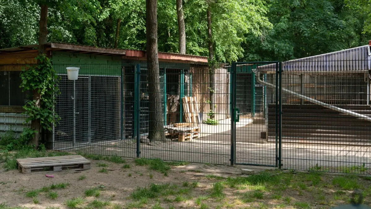 Kommunalpolitiker fordern mehr Unterstützung und deutlich mehr Geld von der Stadt. Das Tierheim Schwedt, Blick auf die Zwingeranlage.
Schwedt, 23.05.2023: Tierheim Schwedt, Blick auf die Zwingeranlage
