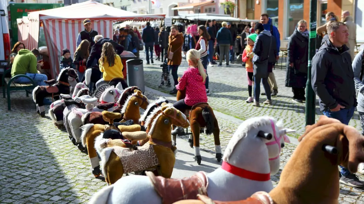 Strausseelauf und das Strausberger Altstadt am Tag der Deutschen Einheit
3.10.22 Strausseelauf und Altstadtfest
