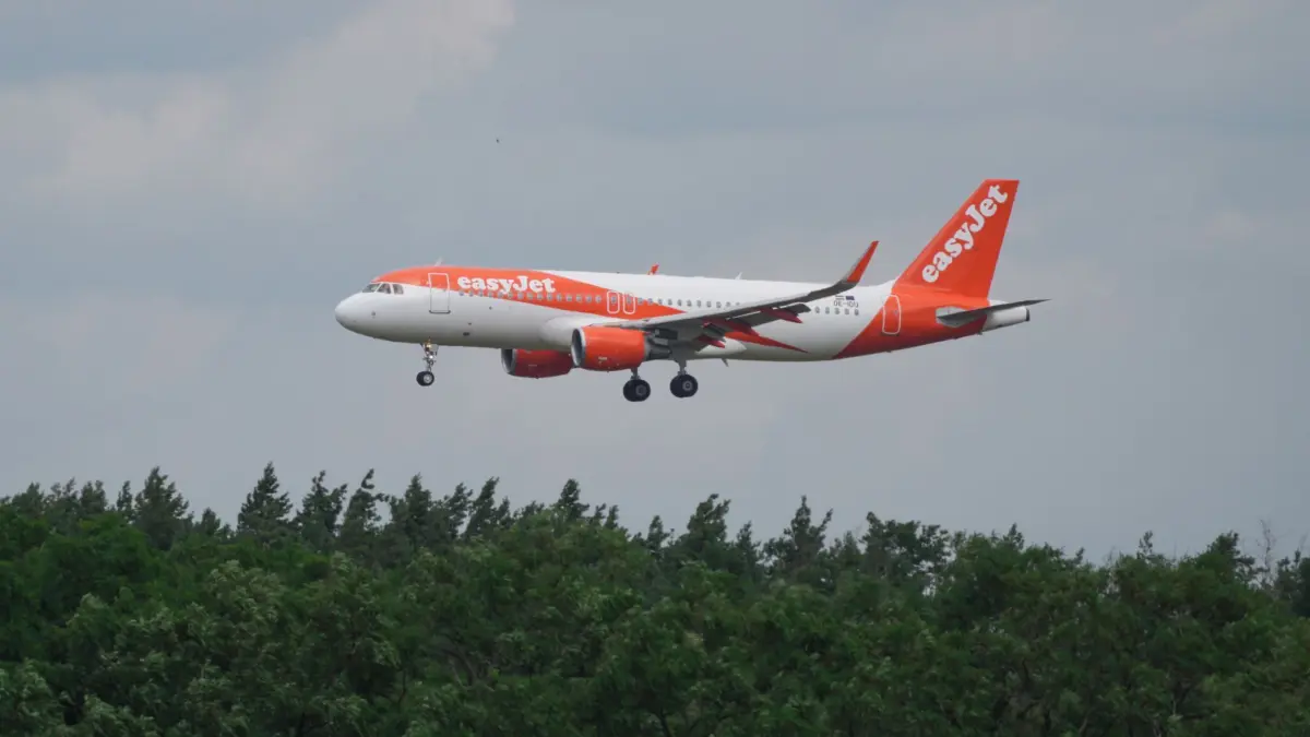 Flughafen BER — Easyjet: ARCHIV - 13.07.2023, Brandenburg, Schönefeld: Ein Airbus A 320-214 der Fluggesellschaft easyJet landet hinter Bäumen auf dem Flughafen Berlin-Brandenburg „Willy Brandt“ (BER). (zu dpa: «Easyjet nimmt 400. Airbus in Flotte auf») Foto: Soeren Stache/dpa +++ dpa-Bildfunk +++