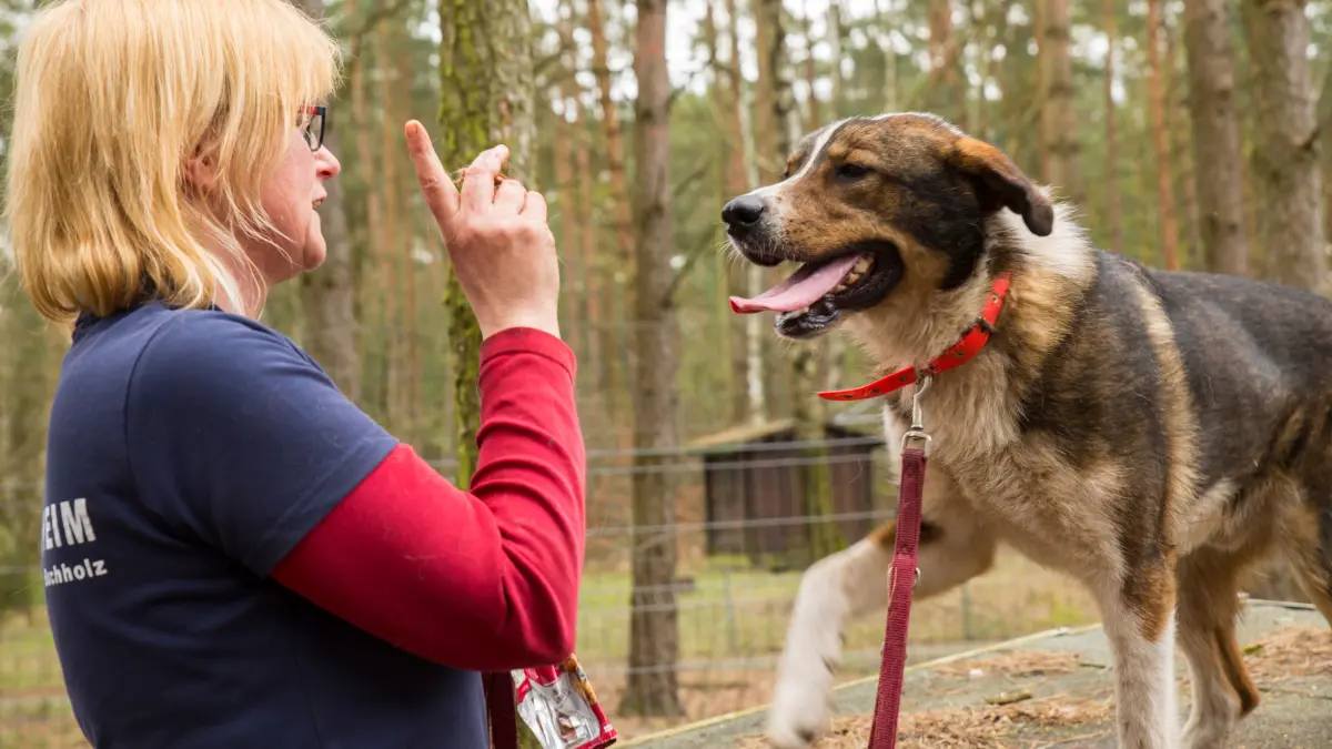 Die Fotos sind im Kasten, die Kamera fast verstaut. Glücklicherweise nur fast, denn Flash testet, ob er mit einem erneuten Sprung auf die Hütte auch ein neues Leckerli einheimsen kann.