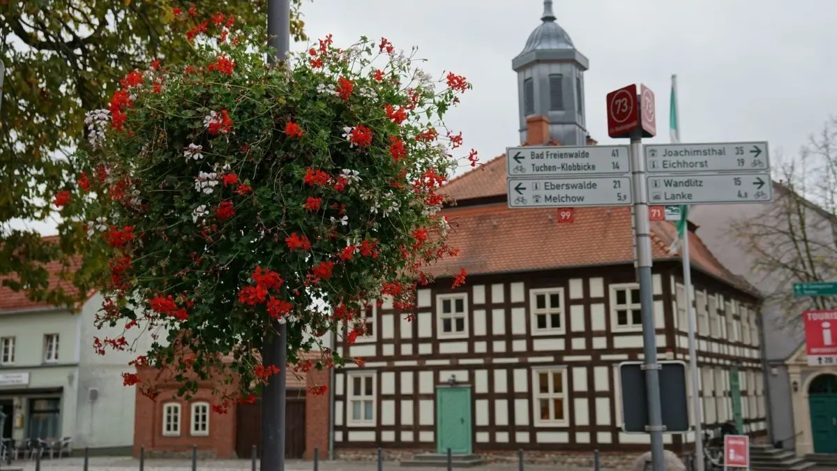 Das historische Rathaus fällt am Marktplatz in Biesenthal sofort ins Auge. In der Stadt wird am 9. Juni eine neue Stadtverordnetenversammlung gewählt.
Ampel in Biesenthal im Oktober 2018