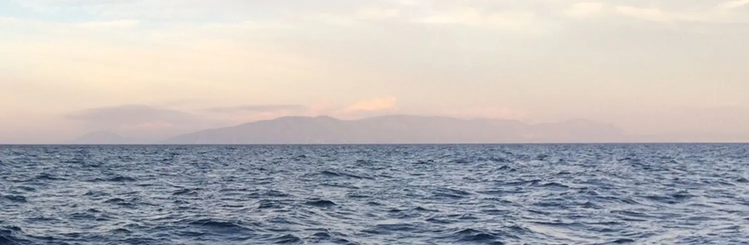 Nasan Tur, Sea View 2016