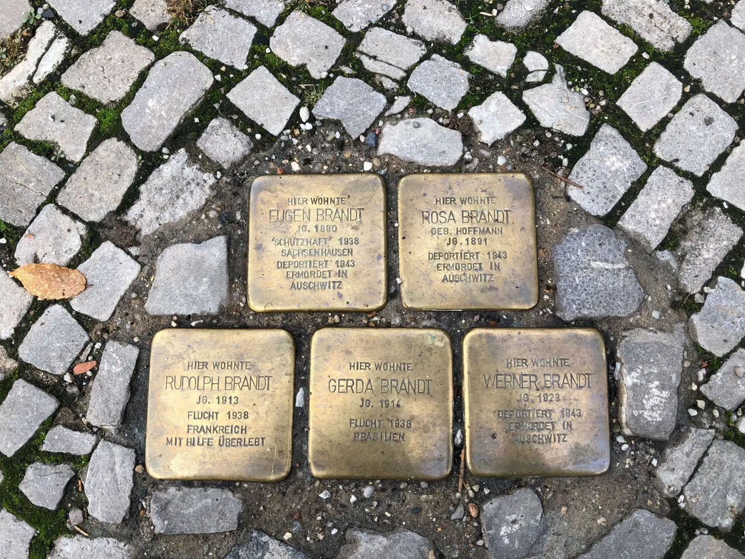 Die Stolpersteine erinnern an die Familie Brandt, zuletzt wohnhaft Mühlenstraße 5c in Fürstenwalde. Gerda Brandt floh nach Brasilien, Rudolph Brandt nach Frankreich.