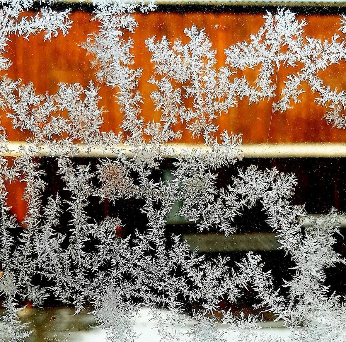 Eisblumen