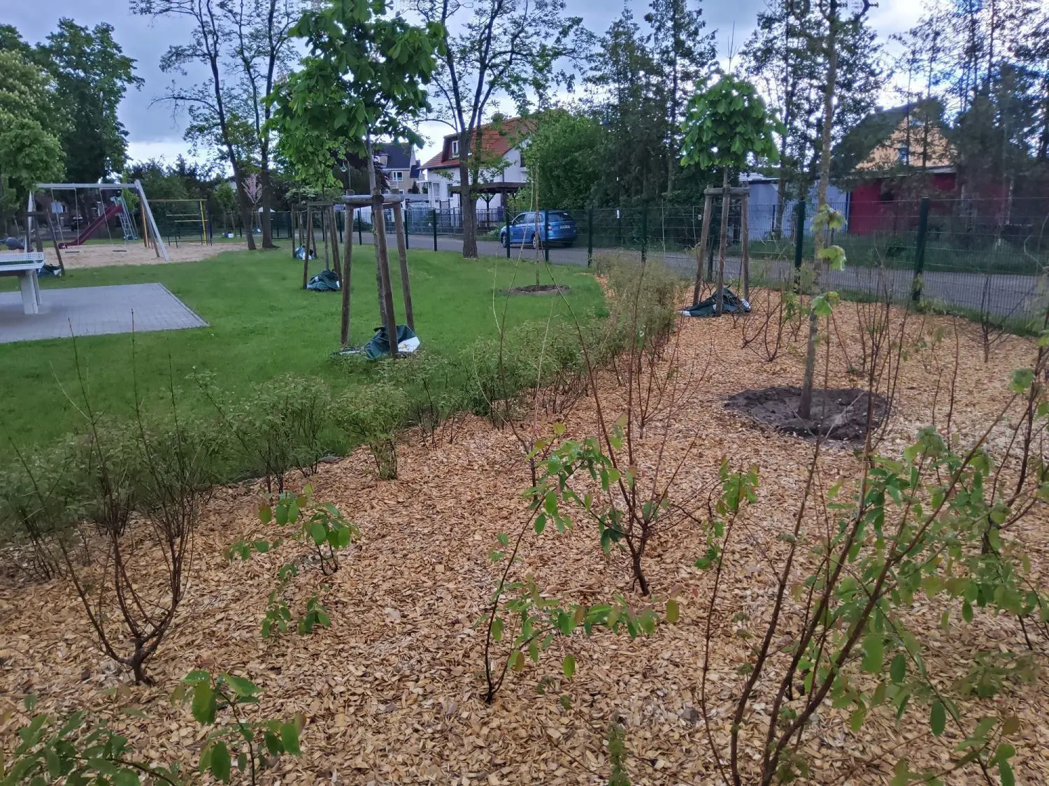 Baumpflanzungen in Panketal: Die neu gepflanzten Sträucher und Bäume sollen den Bronnenplatz im Ortsteil Schwanebeck aufwerten.