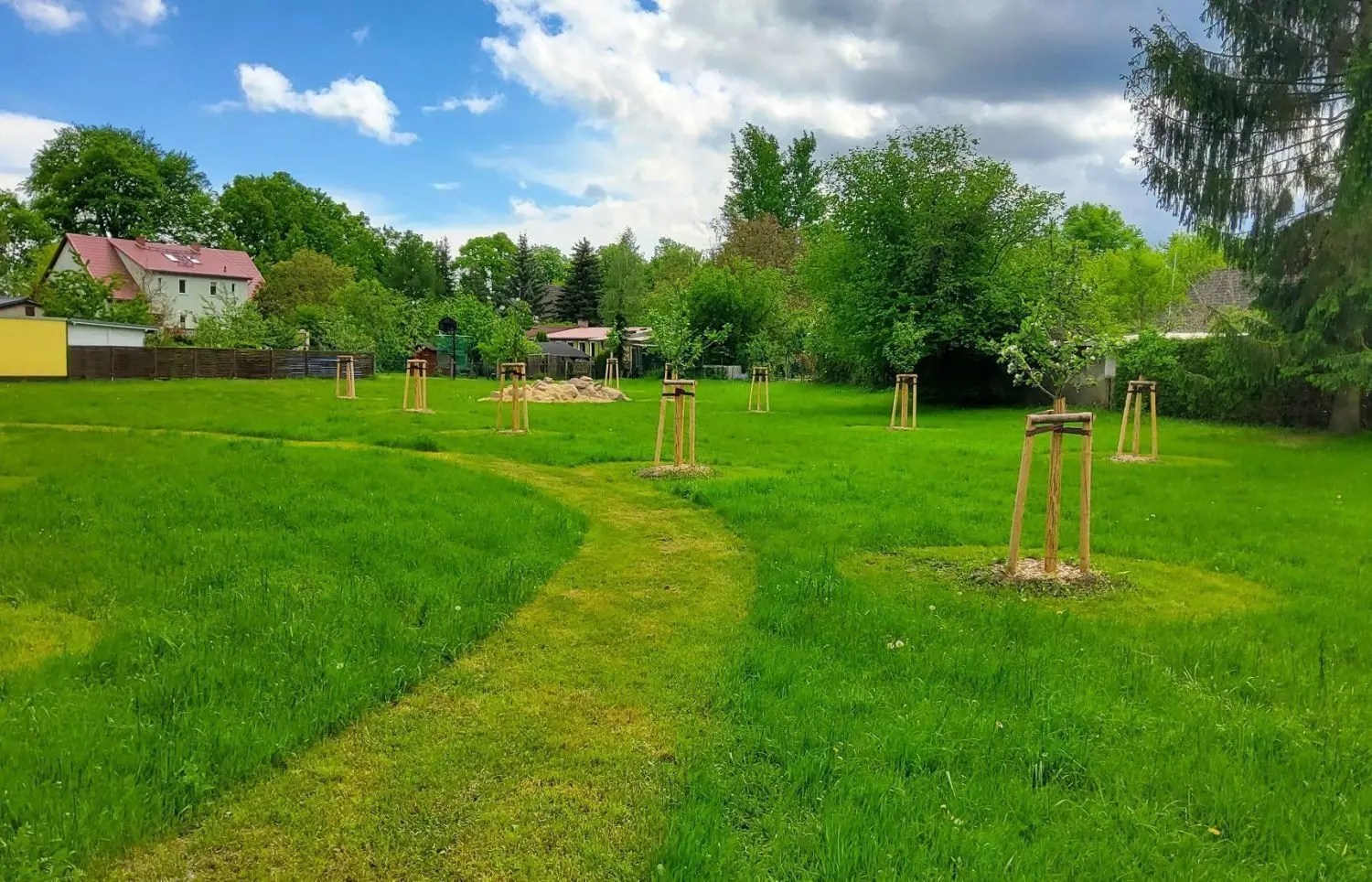 Umgestaltet: Auf der Bienenwiese in der Nähe der Lutherstraße sind die neu gepflanzten Obstbäume zu sehen. Dort ist ein Baumlehrpfad vorgesehen. Die sandfarbene Erhebung im Hintergrund (Bildmitte) ist das Eidechsen-/Bienenbiotop.