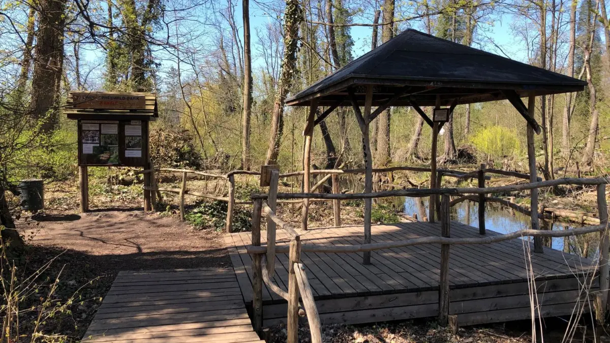 „Chill–Areas“ gesucht: Im Spreewaldpark treffen sich junge Leute. Aber das gefällt nicht allen.
Schöneiche, 28.4.2021 - "Neue Chill-Areas" gesucht: Im Spreewaldpark treffen sich junge Leute. Aber das gefällt nicht allen.