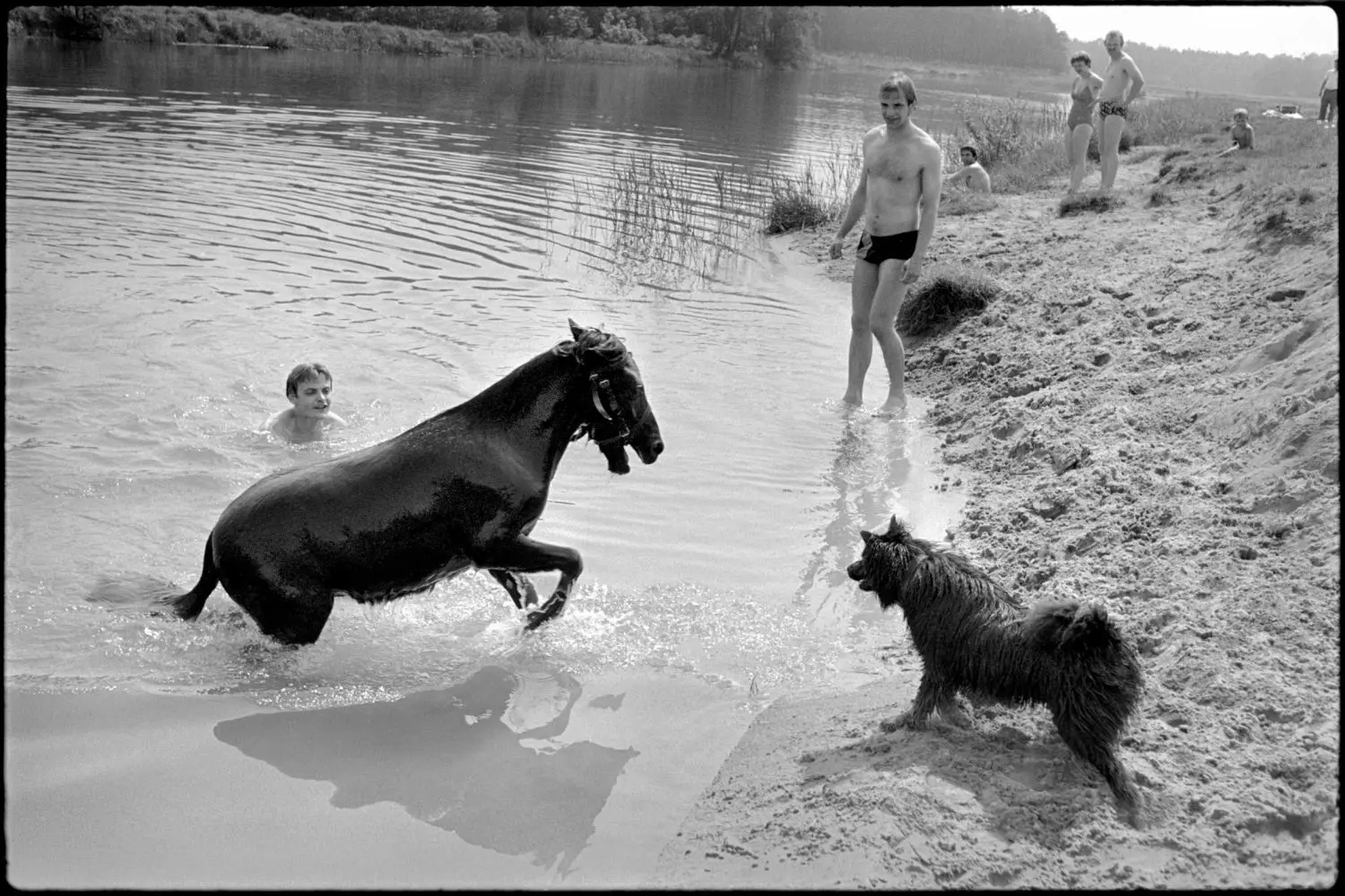 „Sommer auf dem Lande“: 1979 hat Thomas Kläber diesen Schnappschuss in seinem Heimatdorf Beyern gemacht.