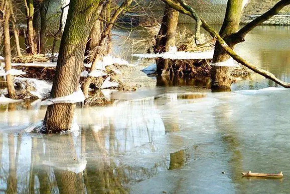 Polder im Winter