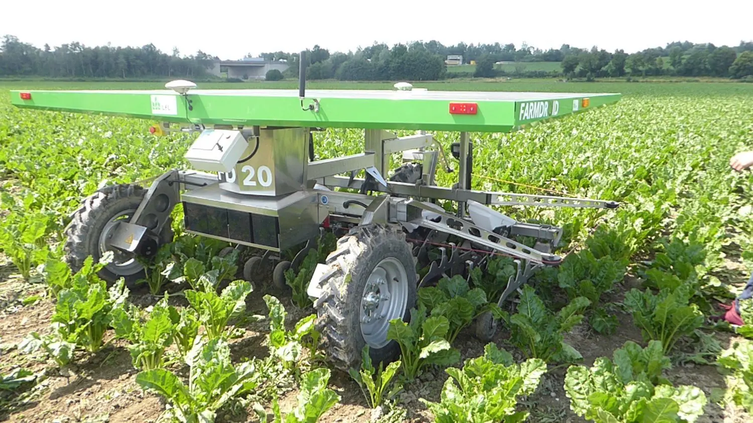 Hackroboter in Zuckerrüben: In Bayern wird der Feldroboter auf Testflächen eingesetzt. Für das Zuckerrüben-Projekt an der HNE soll ein eigener Roboter gebaut werden, der an die regionalen Anforderungen angepasst ist und der die Einzelpflanze beziehungsweise einzelne Beikräuter besser erkennen kann.