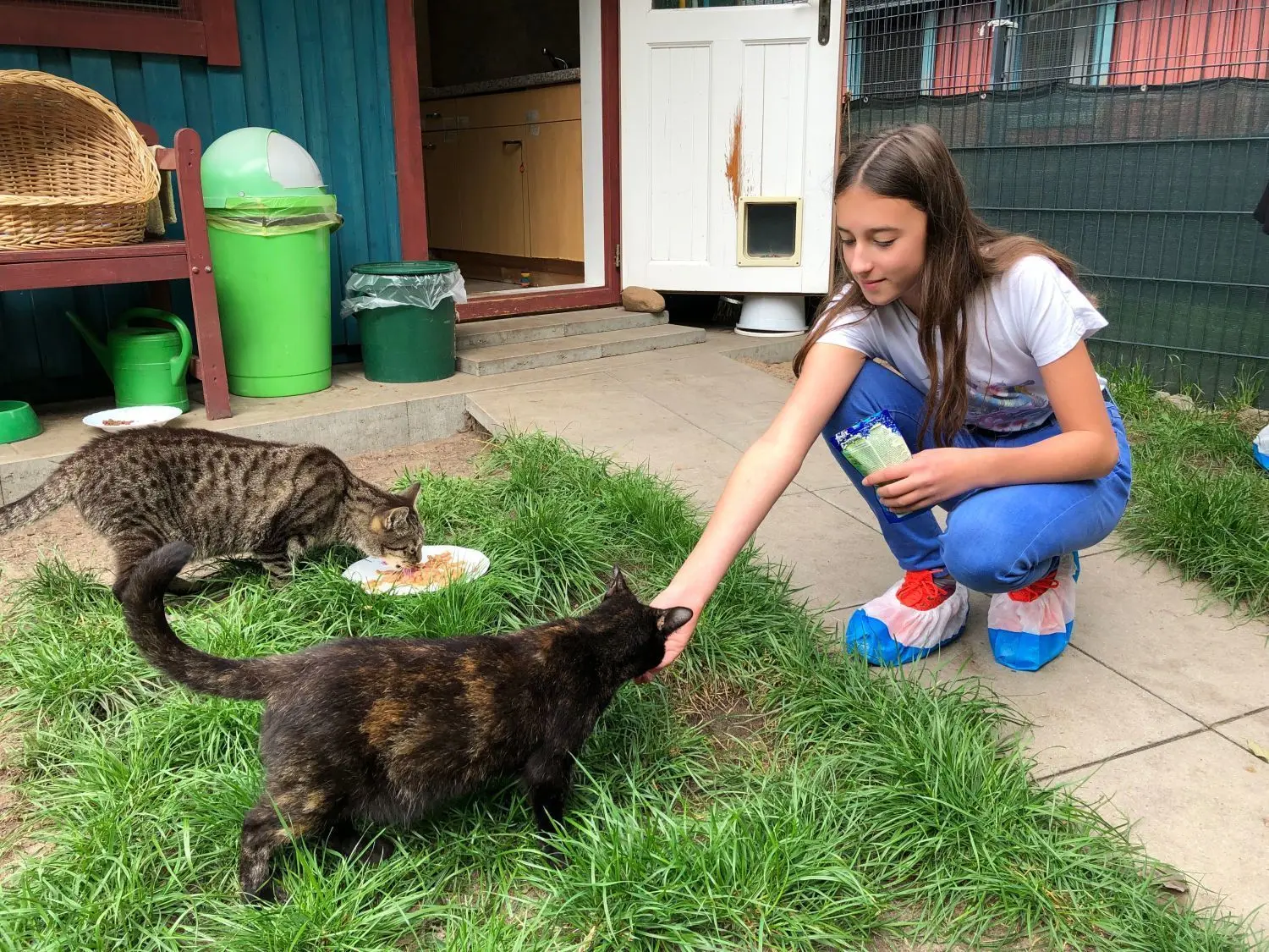 Alina mit Katze Maja und Kater Moritz
