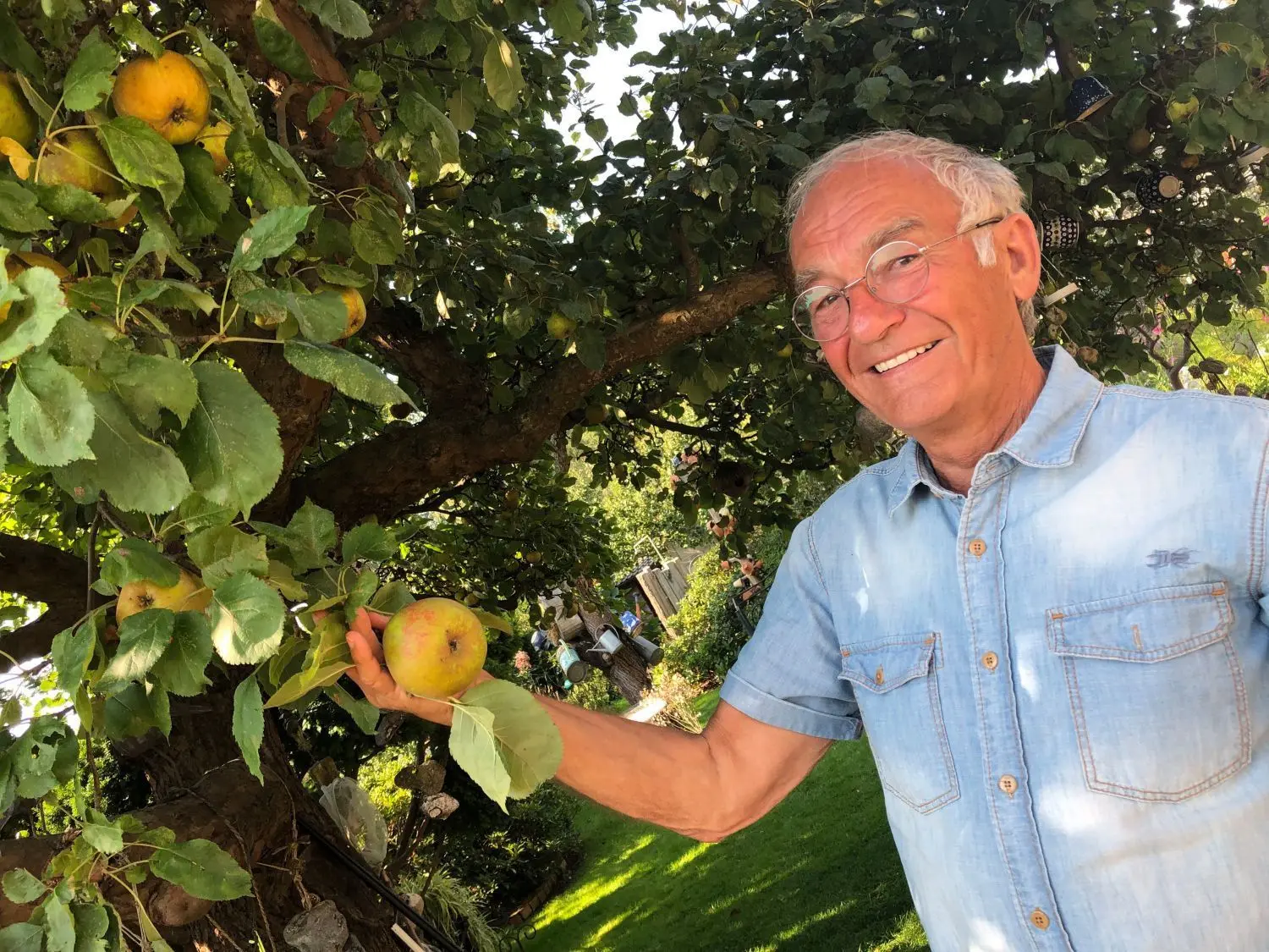 Im Mühlenbecker Land eskaliert in diesem Jahr der Streit um eine neue Baumschutzsatzung. Die Bürgerinitiative „Baumschutz Kommunal“ will diese verschärfen, unter anderem sollen Obstbäume nicht mehr nachgepflanzt werden dürfen. Peter Witte (SPD, Foto) hingegen will die Kommune als Obstbaum-Gemeinde etablieren. Die CDU beendet im September die Debatte. Die alte Satzung hat weiterhin Bestand.