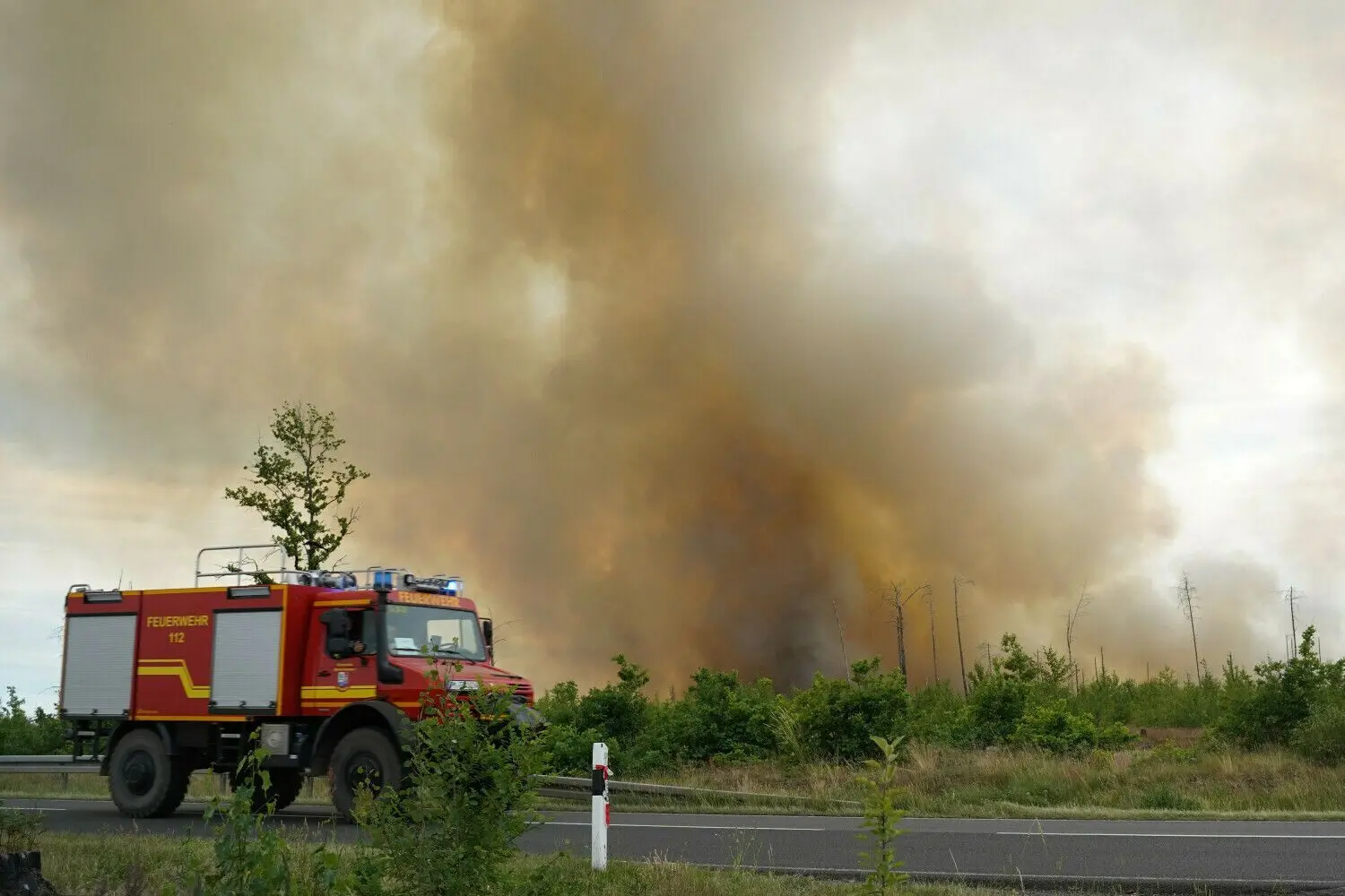 Waldbrand in Brandenburg: Wieder Flammen-Inferno in Beelitz und ...