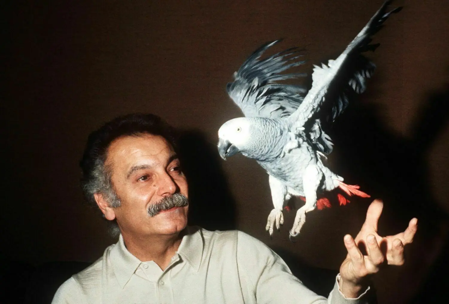 Dem Großmeister des Chansons, Georges Brassens, ist ein jährliches stattfindendes Festival in Basdorf gewidmet.
