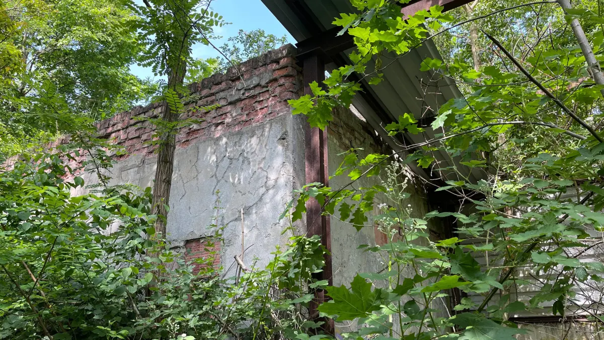 Reste der Gaststätte Huckel, die in den 1990er-Jahren abbrannte, sind noch in den Diehloer Bergen in Eisenhüttenstadt zu sehen. Könnte sie reaktiviert werden?