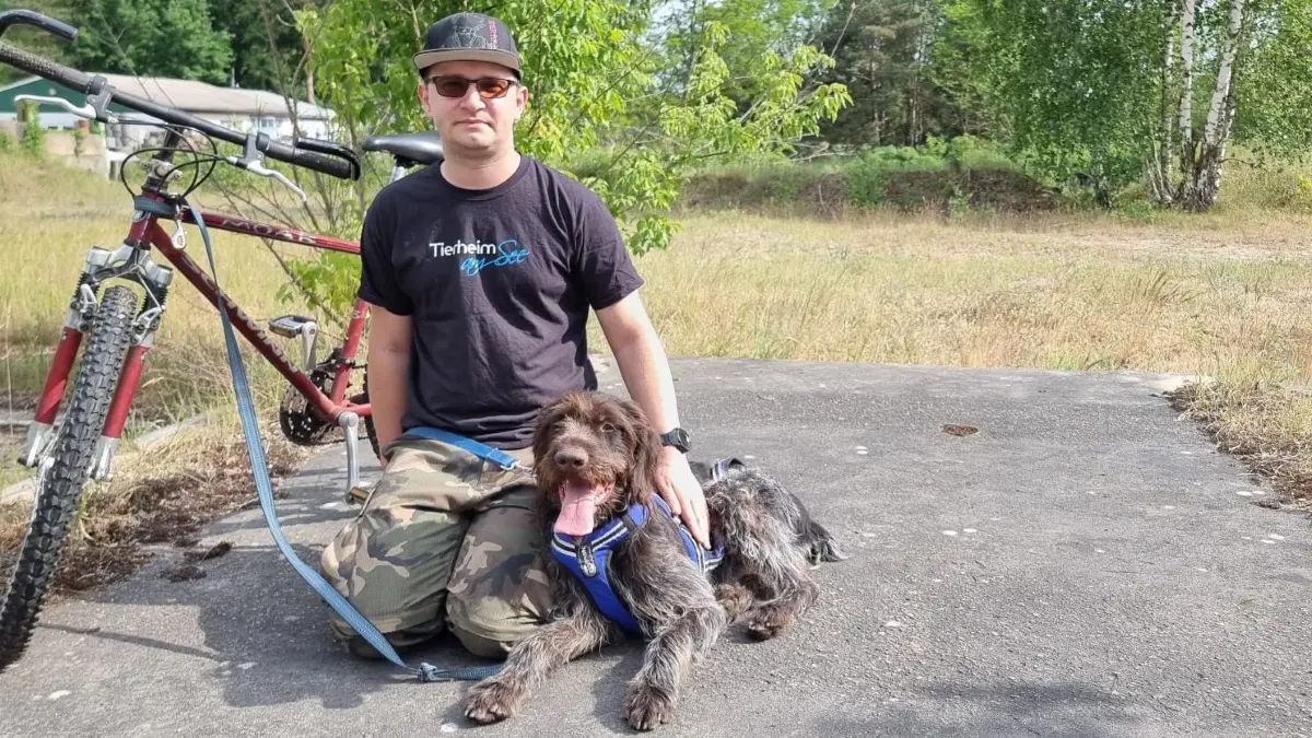 Zweiter beim 2. Cani-Fun-Run in der Schorfheide: Der Deutsch Drahthaar Anton zeigte zusammen mit seinem Betreuer Tom Nickel in der Disziplin Bikejöring auf einem Drei-Kilometer-Kurs Kondition und Leistungswillen. Der Preis: für Anton Hundekuchen und für den Betreuer eine Urkunde.