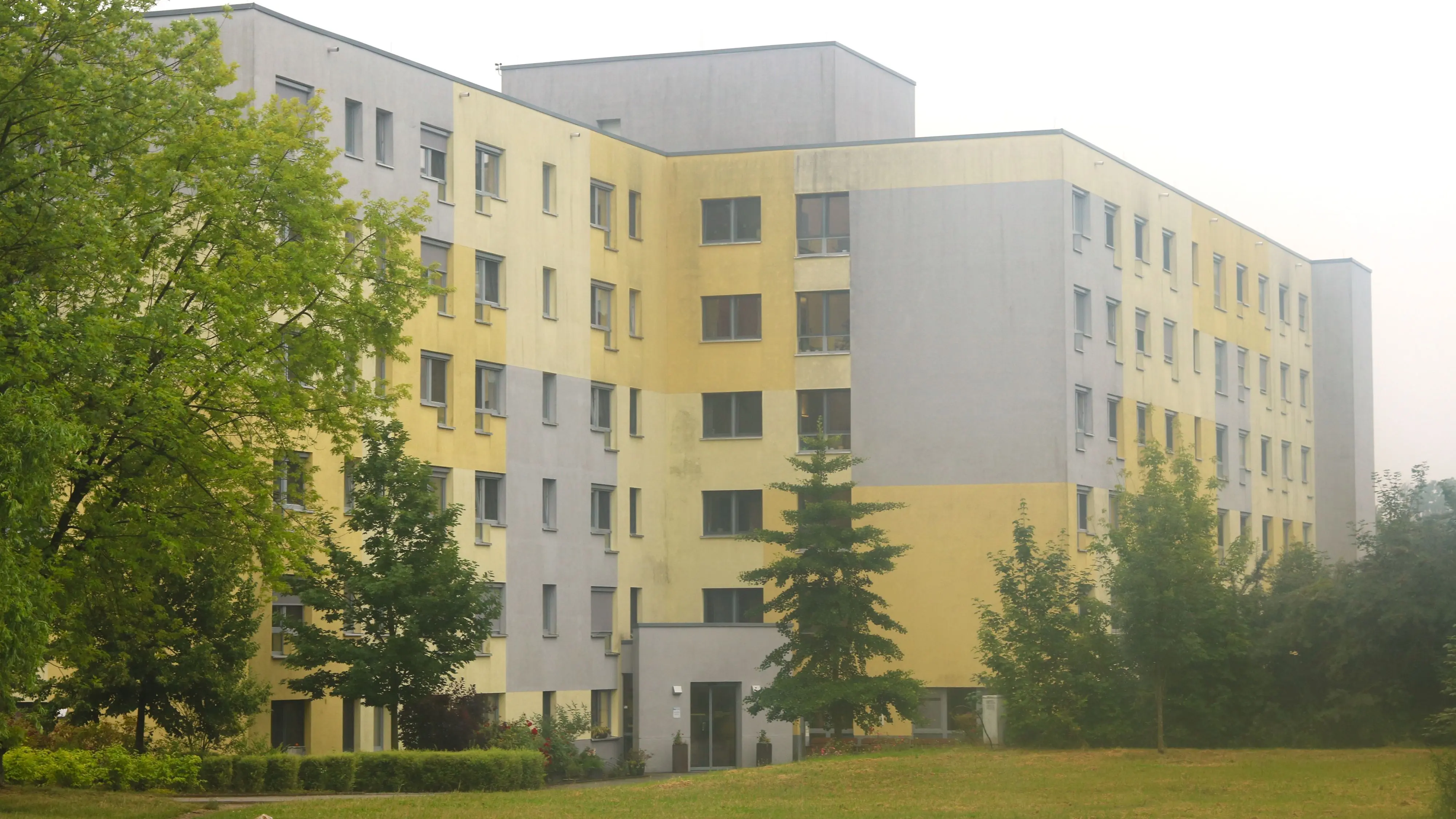 Pflege in Frankfurt (Oder): Stadt bewahrt eigene Pflegegesellschaft vor