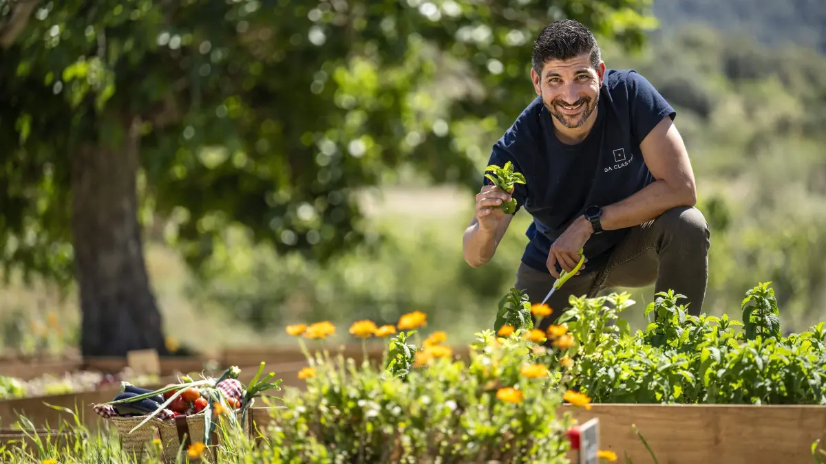 Hier pflückt der Chef noch selbst. Sternekoch Jordi Cantó im hauseigenen Kräutergarten.