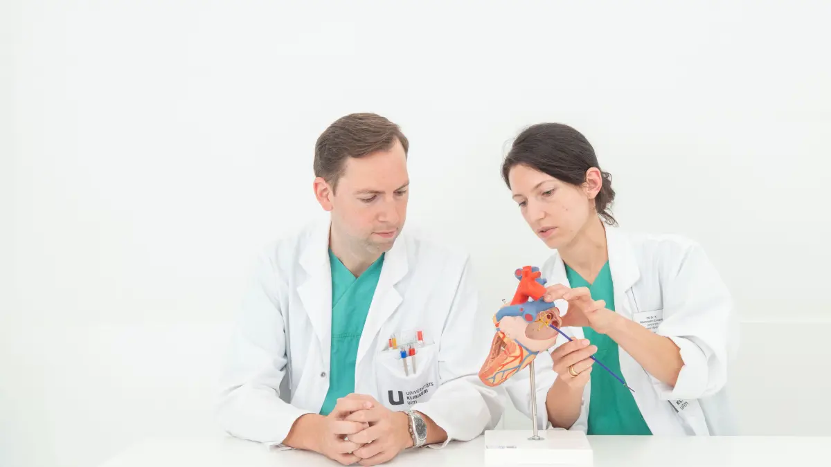 Dr. Carlo Bother und PD Dr. Karolina Weinmann-Emhardt demonstrieren eine Herzkatheter-Ablation.