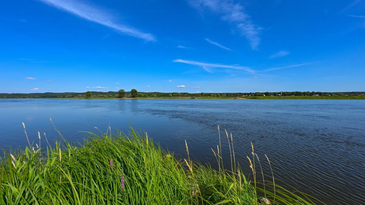 Nationalpark Unteres Odertal: 15.07.2024, Brandenburg, Criewen: Der deutsch-polnische Grenzfluss Oder im Nationalpark Unteres Odertal. Der Nationalpark Unteres Odertal wurde 1995 gegründet und umfasst eine Fläche von 10.500 Hektar. Das untere Odertal ist Deutschlands einziger Auennationalpark und zugleich ein grenzüberschreitendes Großschutzgebiet mit Polen. Das Odertal ist eine der letzten naturnahen Flussauenlandschaften des westlichen Mitteleuropas mit einer Vielzahl von gefährdeten Tier- und Pflanzenarten. Das Gebiet wird geprägt durch die sogenannten Polder, die zu Beginn des 20. Jahrhunderts nach holländischem Vorbild für den Hochwasserschutz eingerichtet wurden, um dem Fluss bei hohen Wasserständen Raum zu geben. Foto: Patrick Pleul/dpa/ZB - Honorarfrei nur für Bezieher des Dienstes ZB-Funkregio Ost +++ ZB-FUNKREGIO OST +++