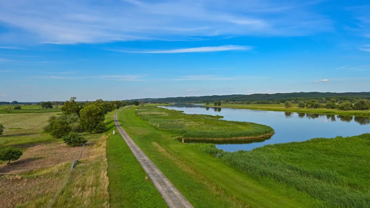 Nationalpark Unteres Odertal: 15.07.2024, Brandenburg, Criewen: Blick von einem Aussichtsturm auf den deutsch-polnischen Grenzfluss Oder im Nationalpark Unteres Odertal. Der Nationalpark Unteres Odertal wurde 1995 gegründet und umfasst eine Fläche von 10.500 Hektar. Das untere Odertal ist Deutschlands einziger Auennationalpark und zugleich ein grenzüberschreitendes Großschutzgebiet mit Polen. Das Odertal ist eine der letzten naturnahen Flussauenlandschaften des westlichen Mitteleuropas mit einer Vielzahl von gefährdeten Tier- und Pflanzenarten. Das Gebiet wird geprägt durch die sogenannten Polder, die zu Beginn des 20. Jahrhunderts nach holländischem Vorbild für den Hochwasserschutz eingerichtet wurden, um dem Fluss bei hohen Wasserständen Raum zu geben. Foto: Patrick Pleul/dpa/ZB - Honorarfrei nur für Bezieher des Dienstes ZB-Funkregio Ost +++ ZB-FUNKREGIO OST +++