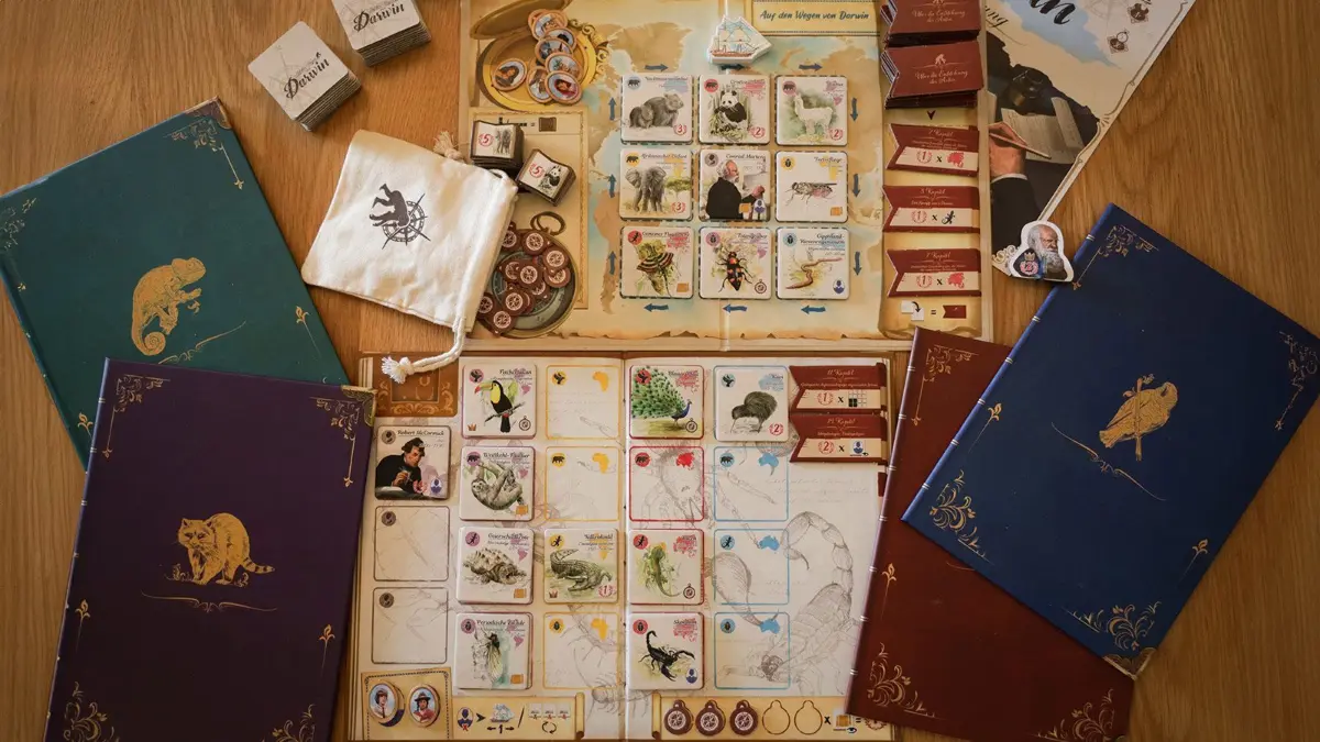 Oben im Bild, das gemeinschaftliche Tableau. In meinem Zug kann ich eines der drei Plättchen in der Spalte des Schiffs nehmen und auf mein persönliches Spieltableau (unten im Bild) setzen.
