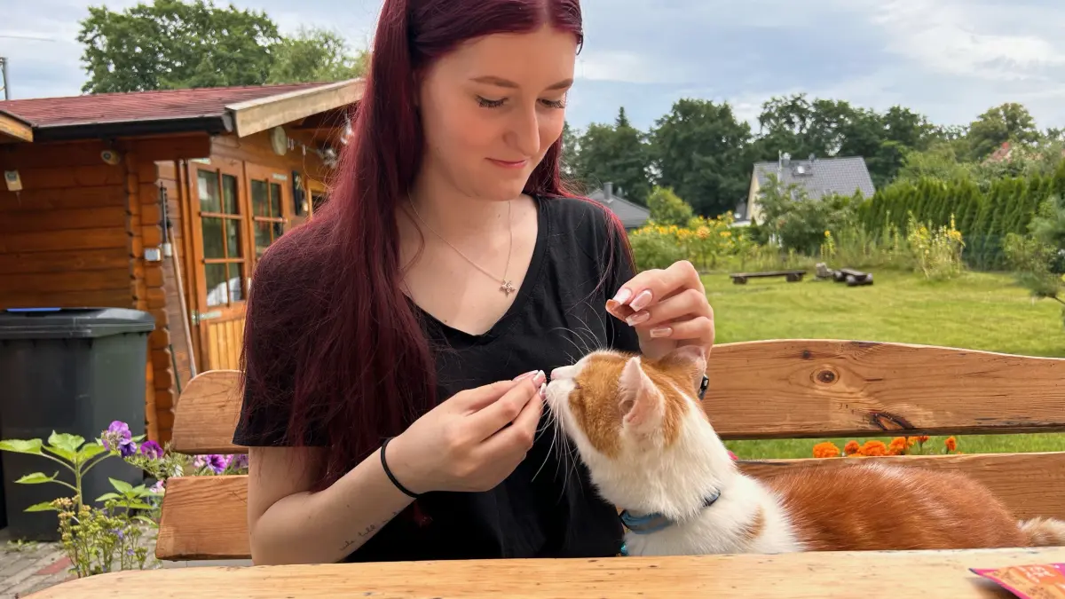 Kater Sascha aus Woltersdorf ist kein Kostverächter. Hier gönnt er sich erst mal eine Kaustange.