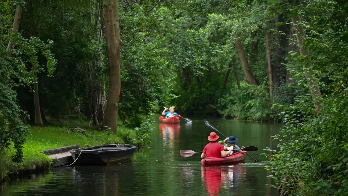 Im Paddelboot durch den Spreewald: 17.07.2024, Brandenburg, Burg (Spreewald): Urlauber unternehmen in Paddelbooten einen Ausflug auf einem Fließ (Wasserweg) im Spreewald. Die Gesamtlänge der etwa 300 Fließe im Biosphärenreservat Spreewald beträgt rund 1600 Kilometer. Foto: Patrick Pleul/dpa/ZB - Honorarfrei nur für Bezieher des Dienstes ZB-Funkregio Ost +++ ZB-FUNKREGIO OST +++