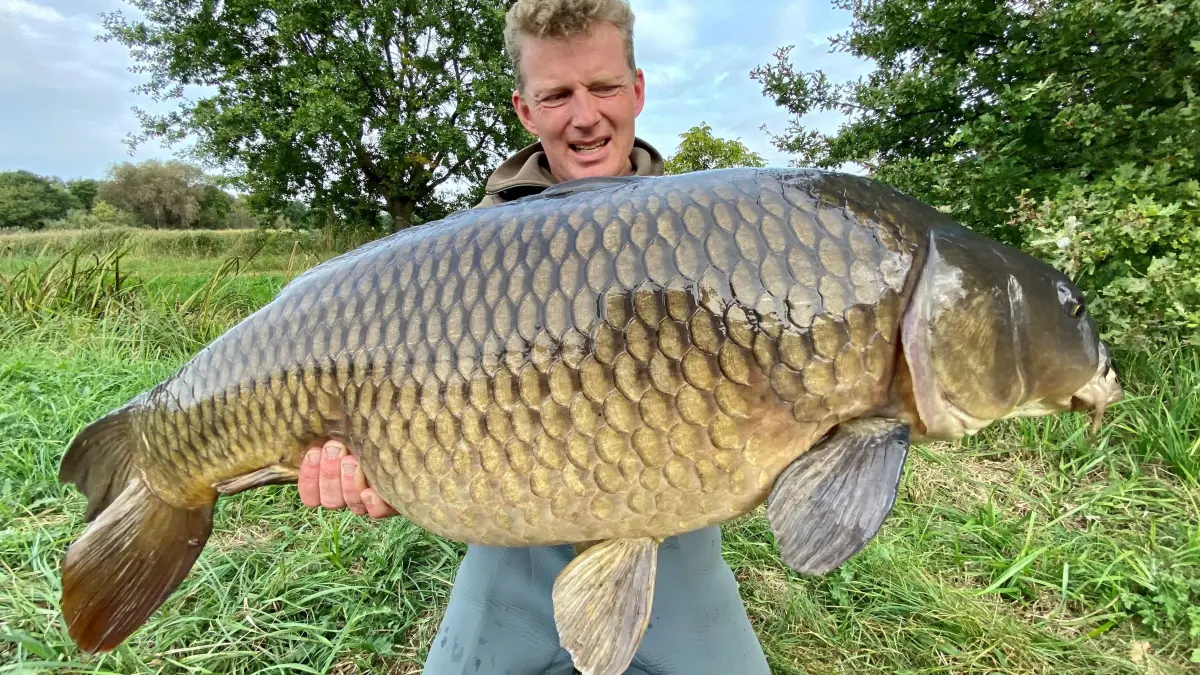 Mann hält einen Riesenkarpfen im Arm Ronny Richter gefangen mit Angel im Spreewald 2024