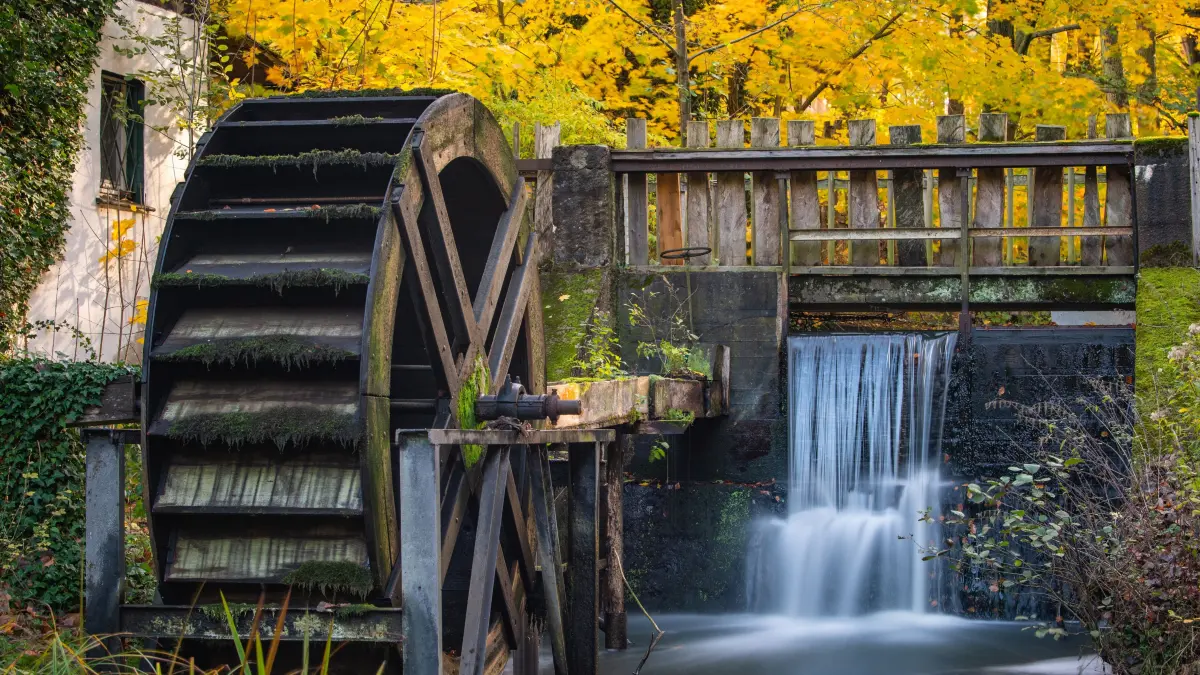 30.10.2018, Brandenburg, Bremsdorf: Still steht das Mühlrad an der Bremsdorfer Mühle im herbstlichen Naturpark Schlaubetal. Der Ende 1995 gegründete Naturpark Schlaubetal im ostbrandenburgischen Heide- und Seengebiet ist 227 Quadratkilometer groß. Das Gebiet wurde wesentlich durch die letzte Eiszeit geprägt. Über zwei Drittel des Naturparks sind mit Wald bedeckt. Kennzeichen für das Schlaubetal ist die Reichhaltigkeit an eiszeitlich geprägten Seen und Seenketten. Foto: Patrick Pleul/dpa-Zentralbild/ZB +++ dpa-Bildfunk +++