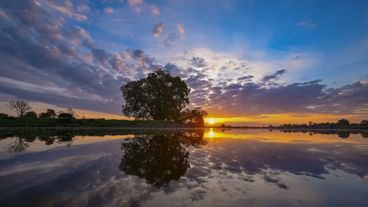 Brandenburg am Morgen: Das Land ist auch für seine schönen Gewässer bekannt, wie den deutsch-polnischen Grenzfluss, die Oder. Im neuen Werbe-Film wirbt die Brandenburger Landesregierung unter anderem mit seinen Gewässern.