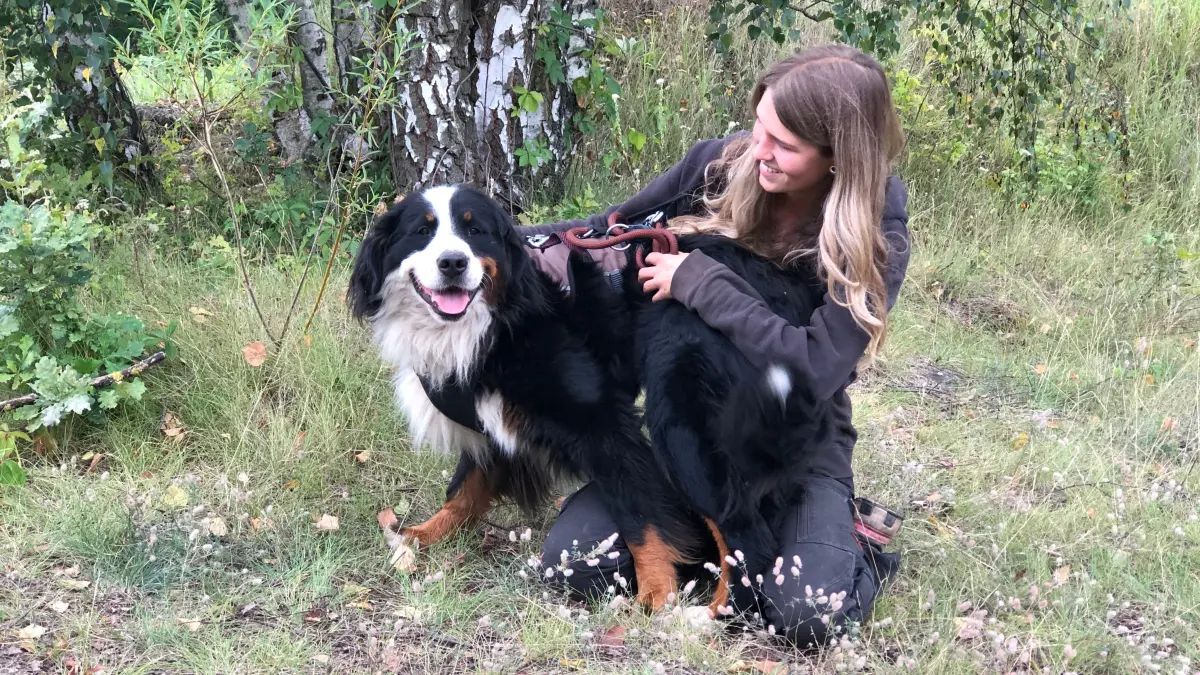 Berner Sennenhund Luna mit Lisa-Marie Sommer vom Tierheim am See in Eisenhüttenstadt