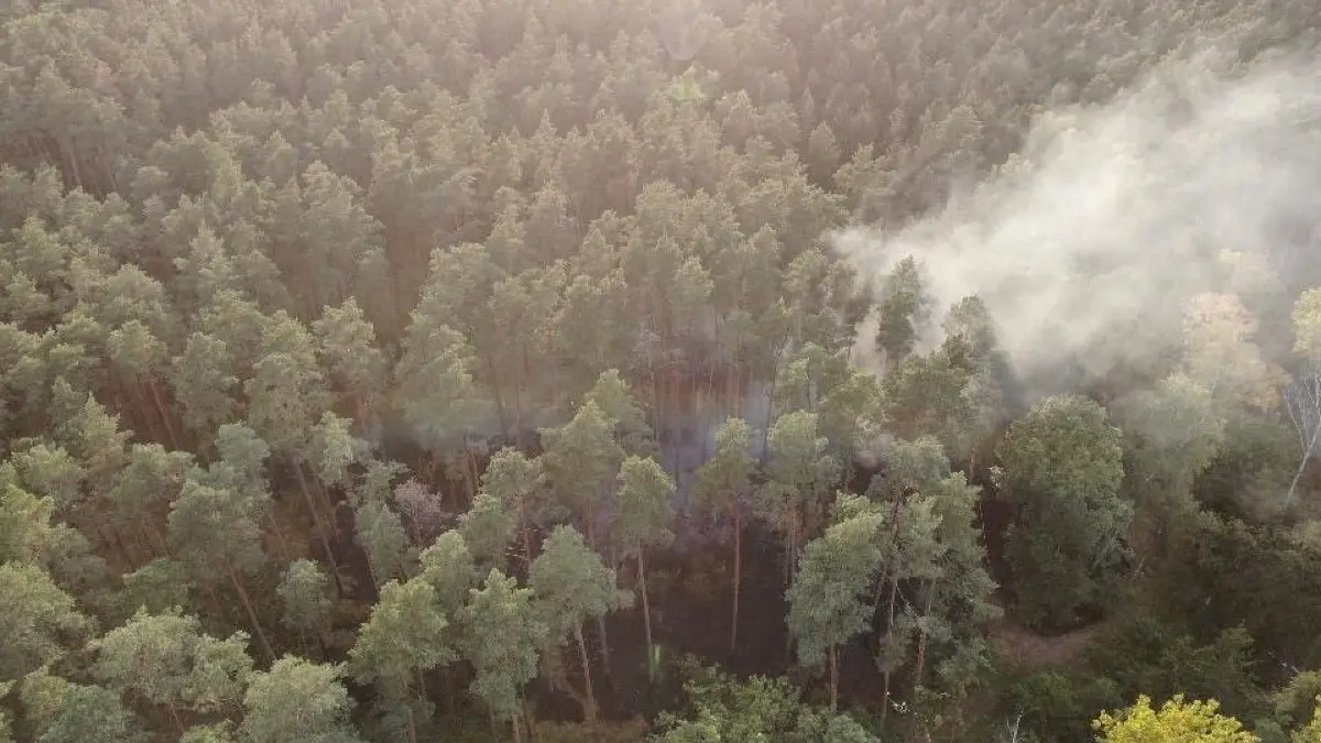 Der Waldbrand bei Angermünde war selbst aus der Luft zu sehen.